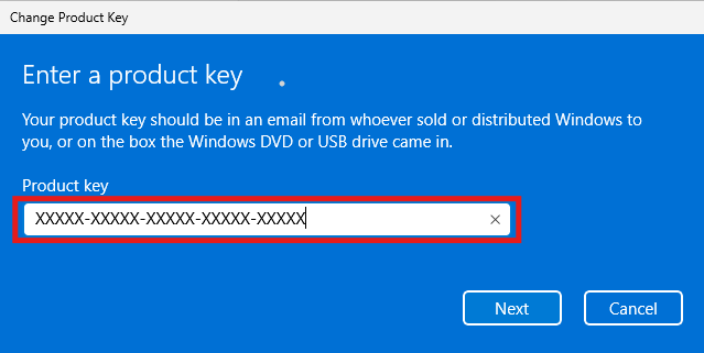 Windows Activation screen showing product key entry