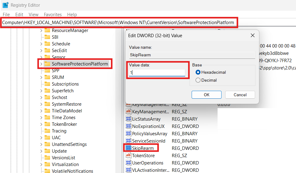 Registry Editor with SkipRearm set to 1